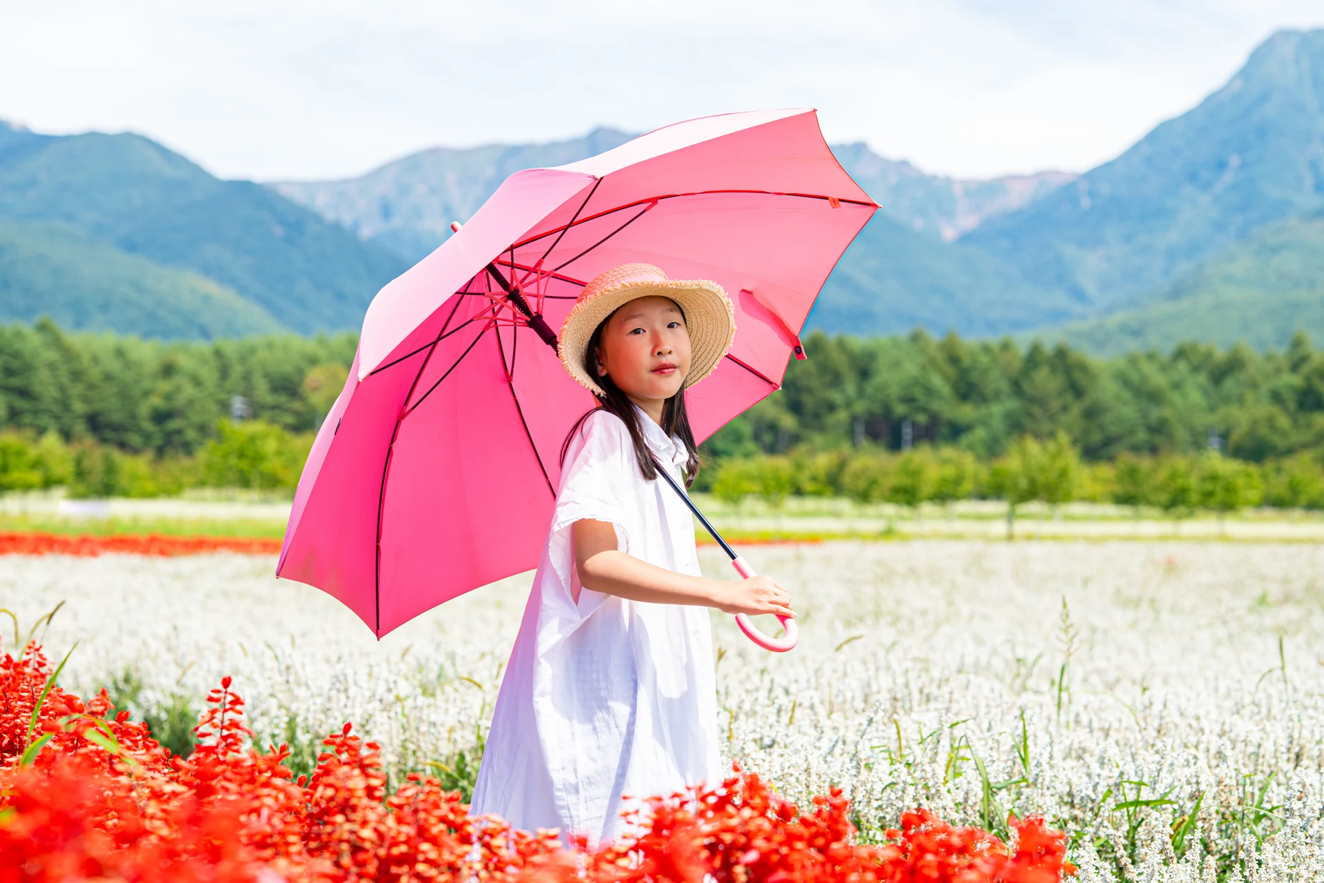 ピンクの傘を差して花畑を歩く9歳の娘
